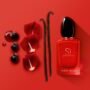 Sì Passione Eau de Parfum for Women (100ml) – UK
